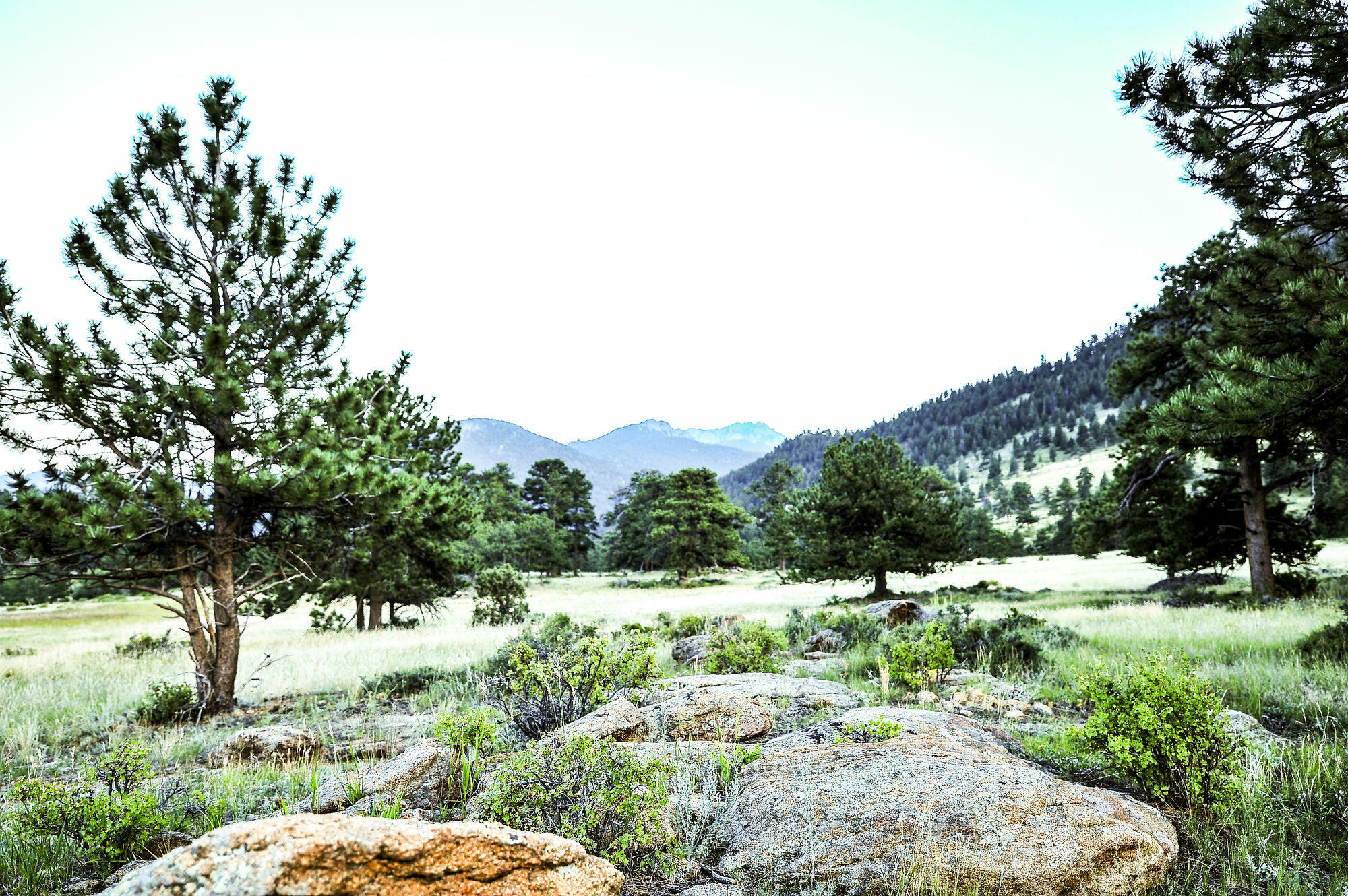 The Historic Crag'S Lodge Estes Park Exteriör bild
